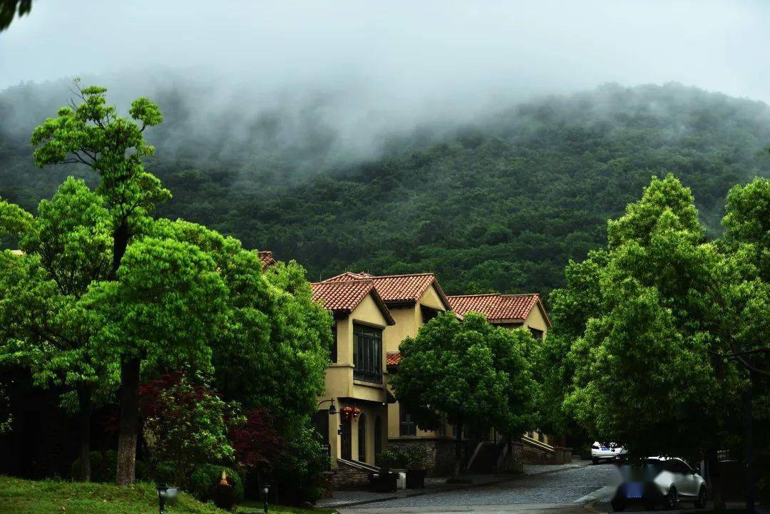 烟霞之胜,方能尽诉仙林翠谷之美!_生活
