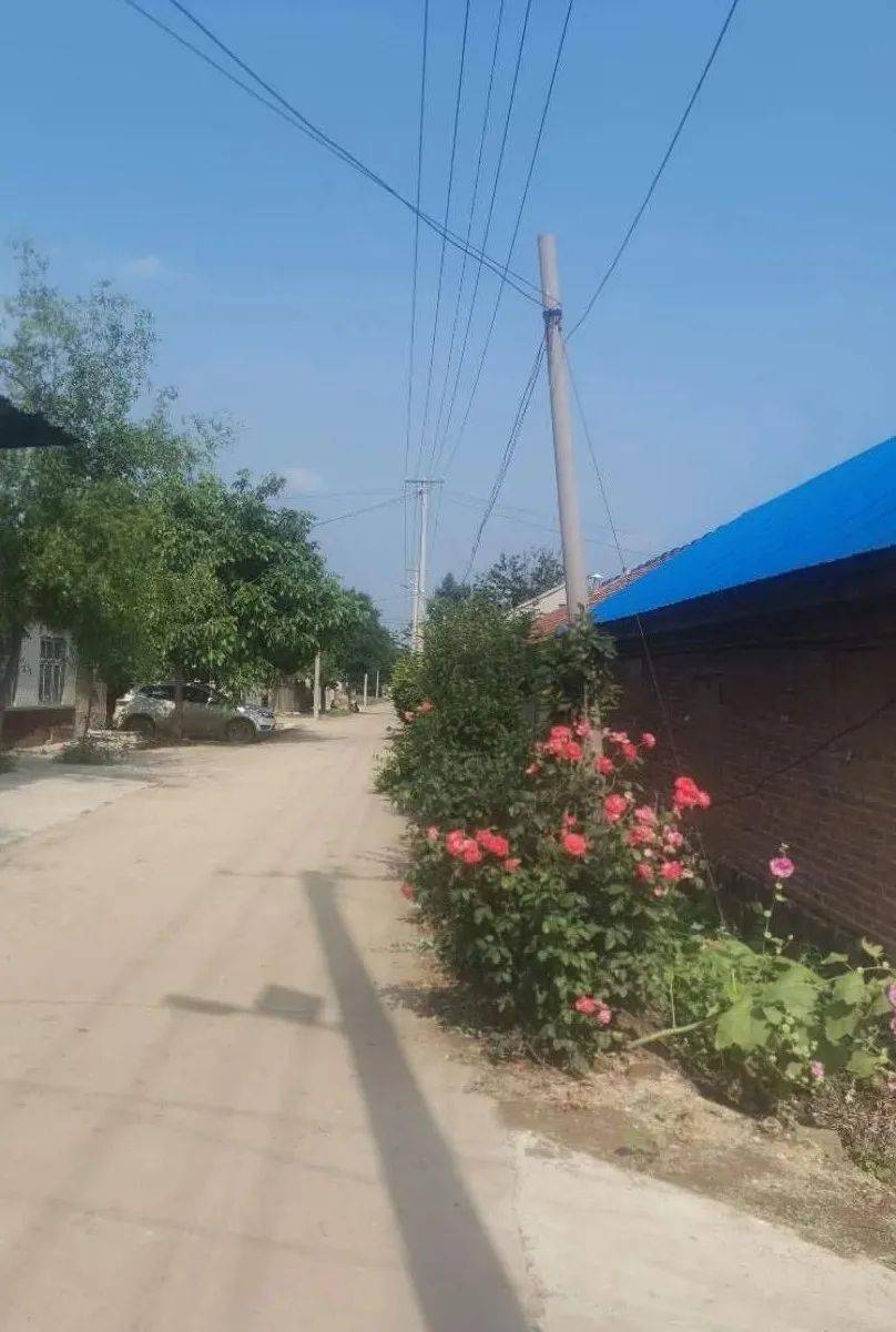 乔官镇人居环境整治系列报道二十