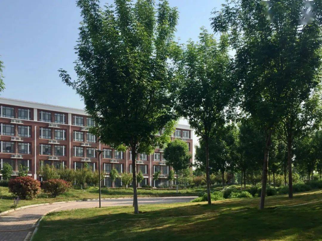 八段锦—齐鲁工业大学—来源 | 菏泽校区编审 | 盛霄
