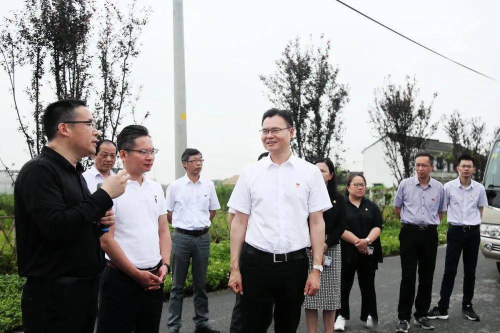 平湖市委书记祁海龙图片