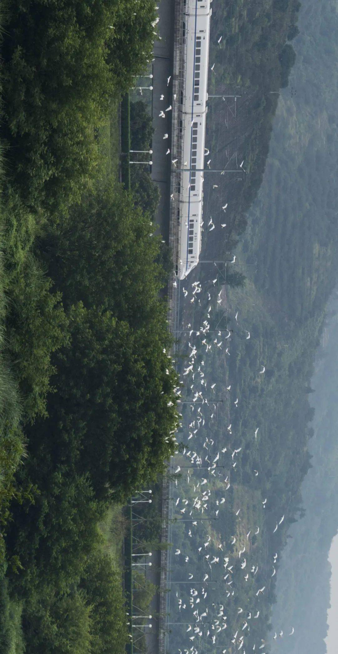 青田通用机场,最新消息来了!