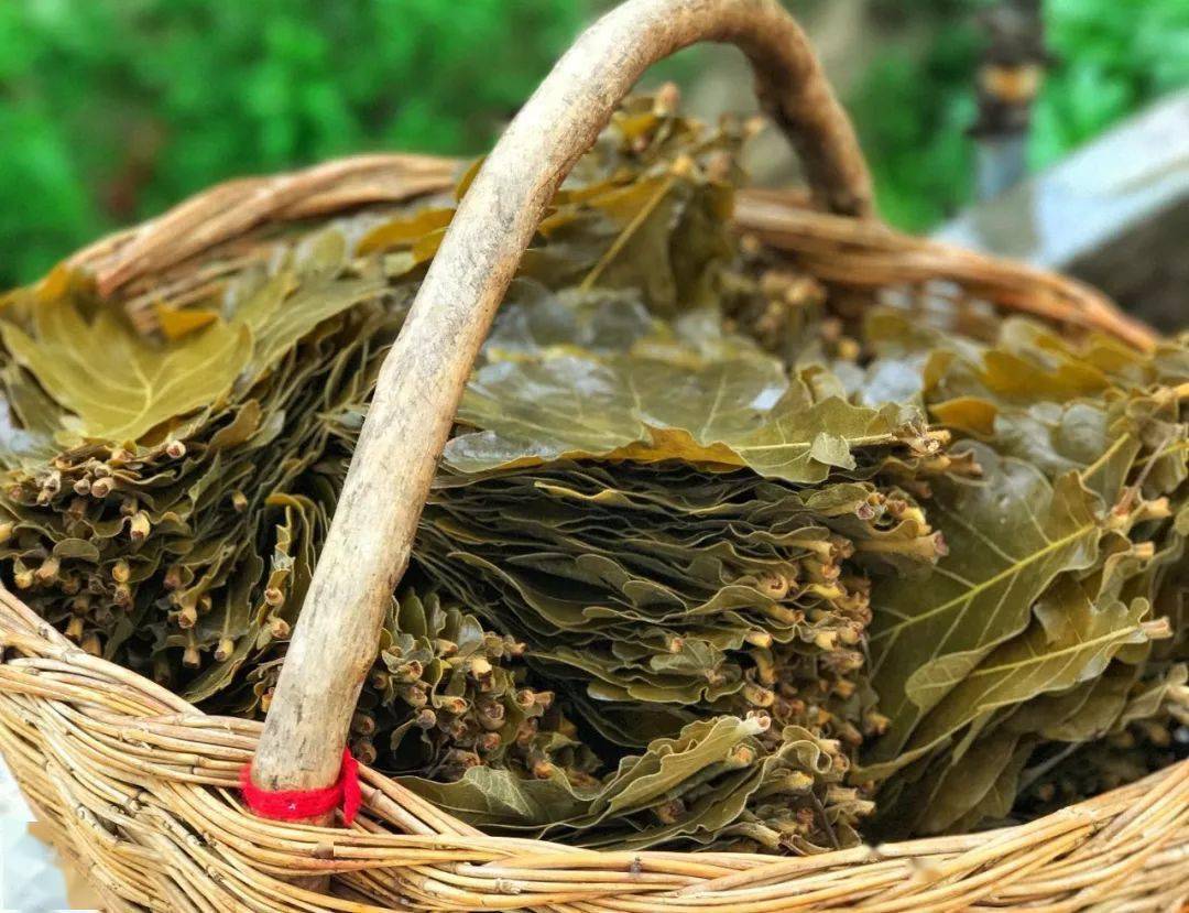 在中国,粽子可以包出多少花样?