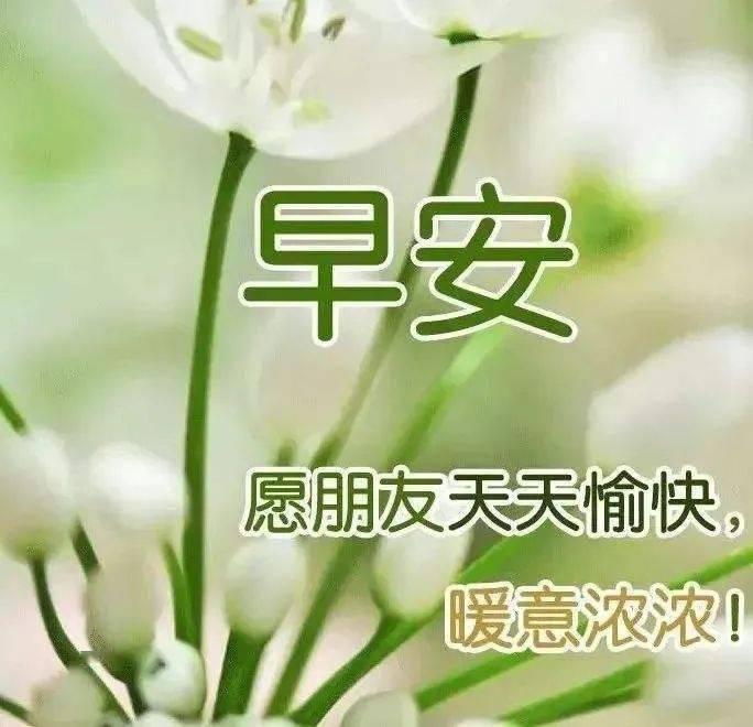 問候大家早上好的早安暖心祝福表情圖片大全微信早上好問候朋友帶祝福