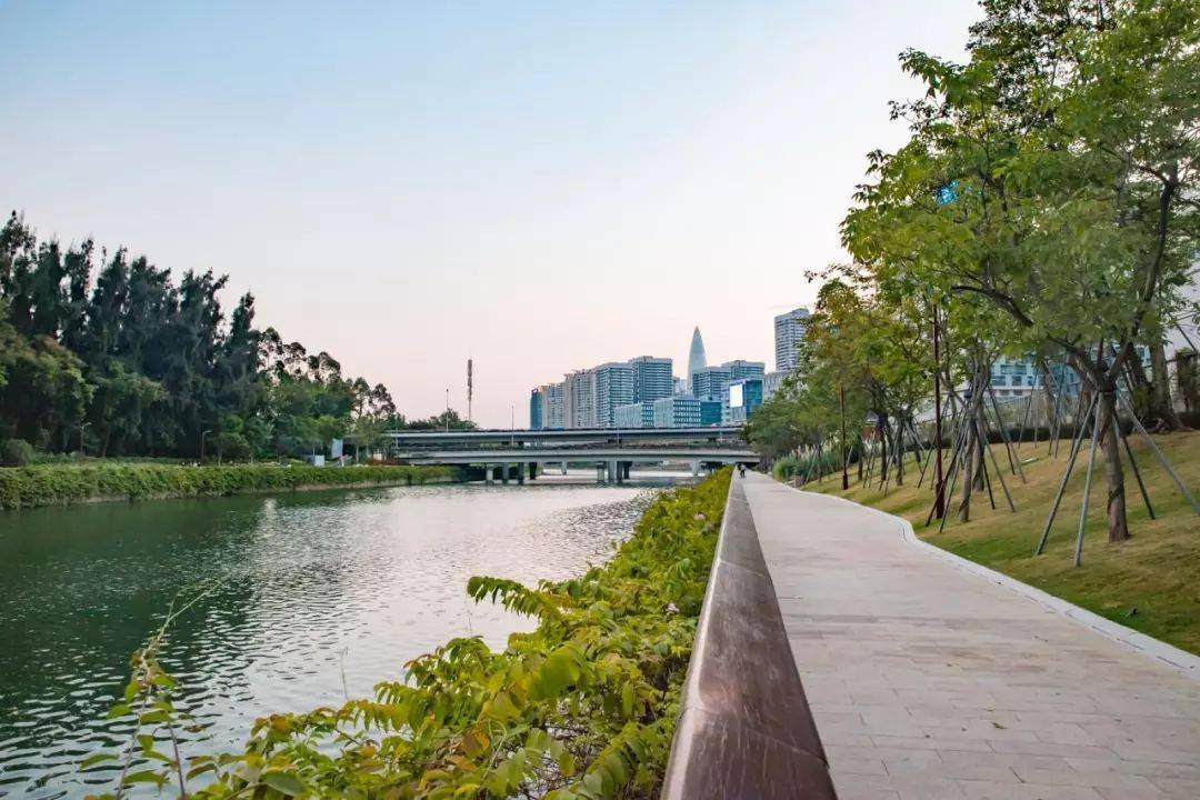 深圳這些景點太美了!一日遊剛剛好!