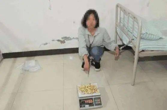 阴功廉江一怀孕女子包庇男友运输毒品被判处有期徒刑三年
