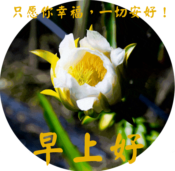 微信最新早上好问候语动态图片表情最美早上好问候祝福动态表情图片