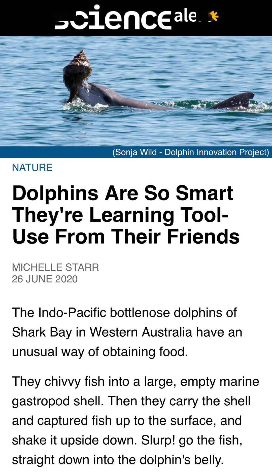 希腊语pos(属格podos), 拉丁语 pes(属格pedis)和英语foot同源.