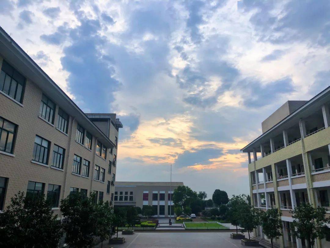 感恩相遇|佛堂镇第三小学2020年一年级新生招生工作圆满结束