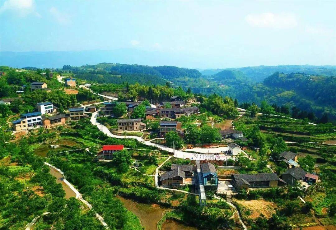 七月仲夏与李有约梁平区曲水镇第六届采李节即将开幕还有免费李子送哦