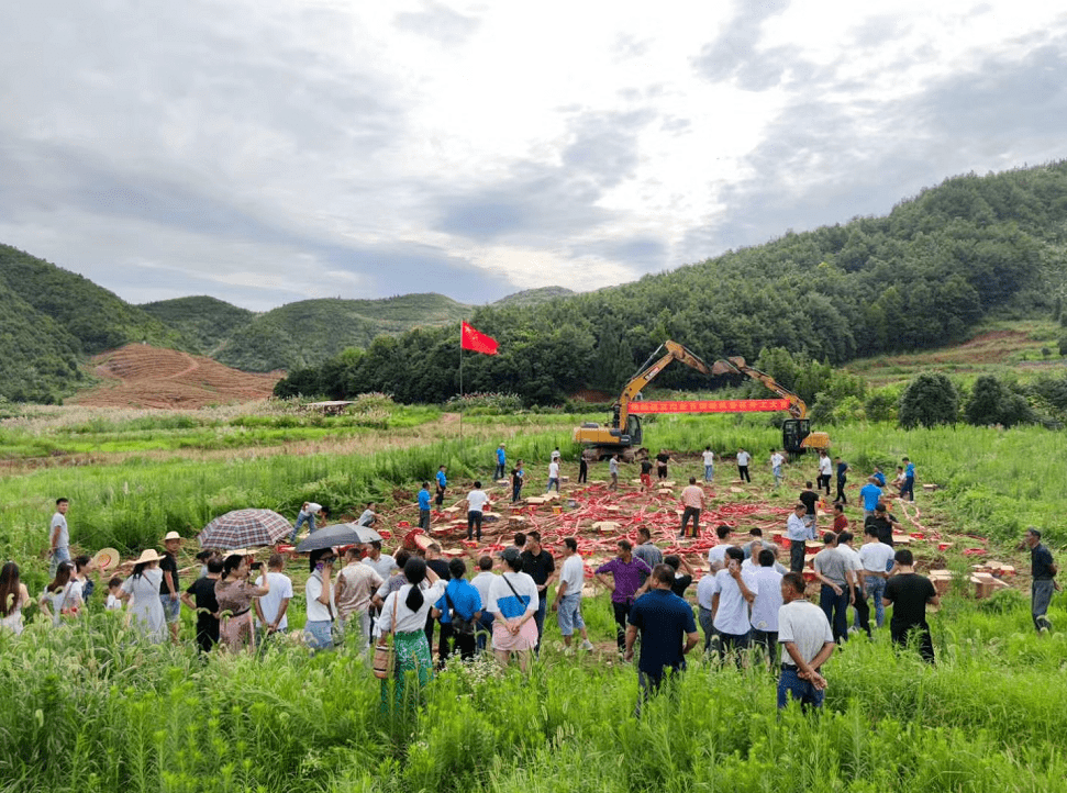 陽新百洞峽旅遊區位於陽新縣洋港鎮洞下村,北至洞下村邊界水塘處,南至