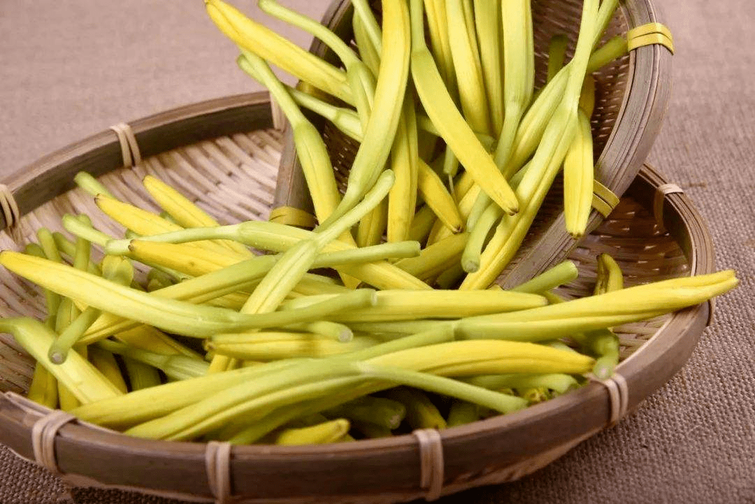 黄花菜有毒吗(金针黄花菜有毒吗)