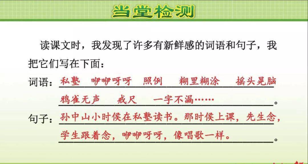 微課堂統編三年級語文上冊第3課不懂就要問精講