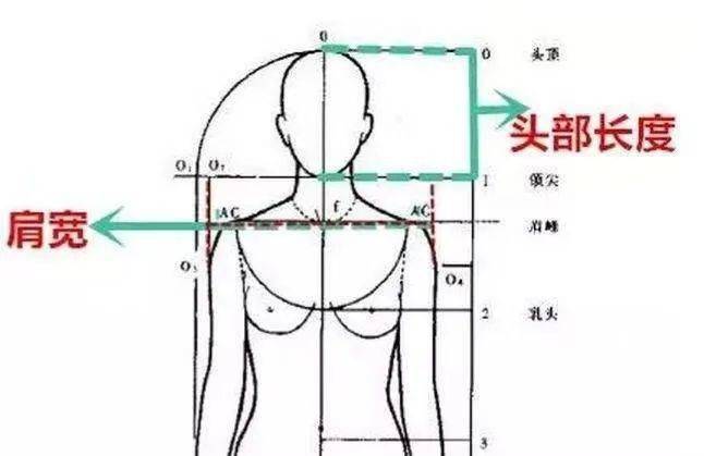 那啥是头肩比呢?头肩比真的很重要!