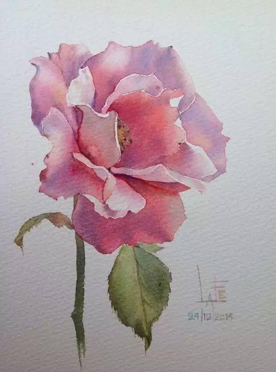 还可以用水彩画玫瑰用油画画玫瑰用水粉画玫瑰用彩铅画玫瑰也永远画不