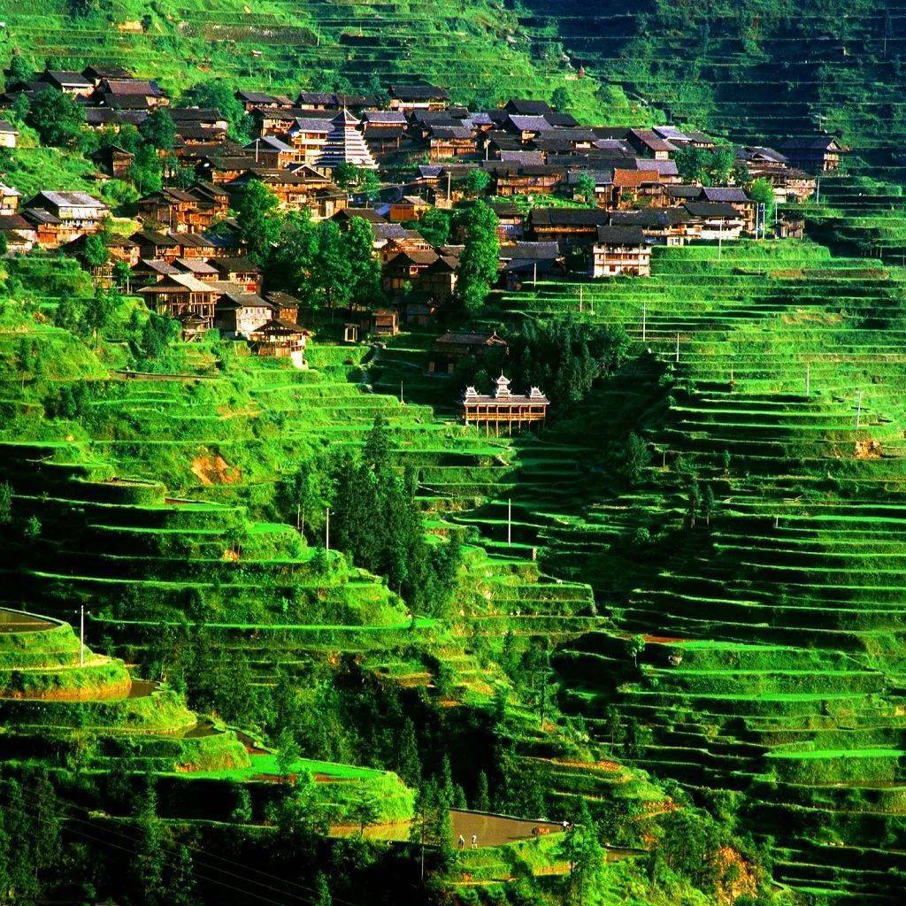 山林茂密,溪水潺潺,高峡平湖,瀑泉飞流,良好的生态优势使贵州成为数一