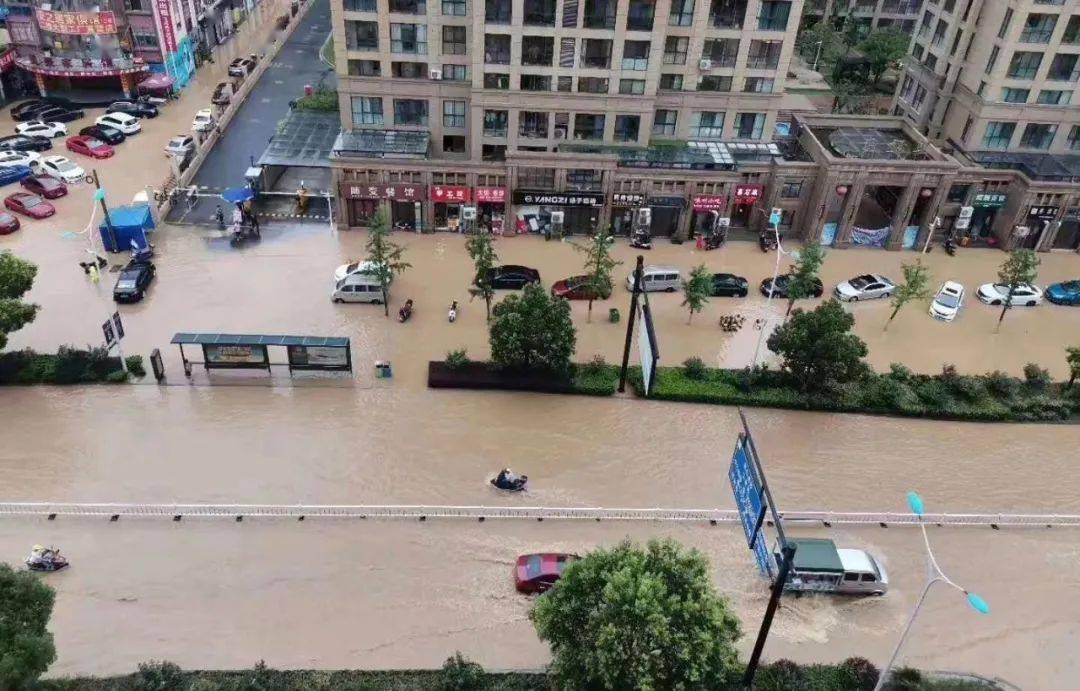 你的朋友圈进水了吗昨晚今晨的这场雨到底有多大戳进来