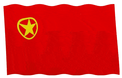 安定区各级团组织掀起学习共青团定西市第四次代表大会