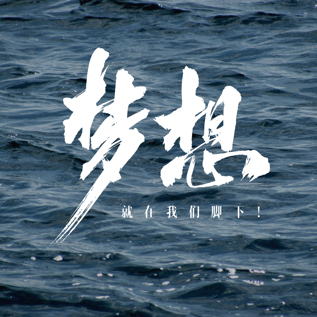 安林有话说丨挥汗播种梦想实干砥砺前行