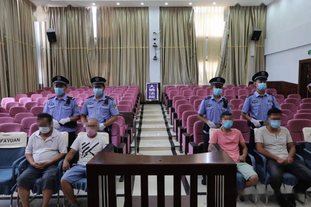 楚雄大姚杨某春等19人恶势力犯罪一案一审宣判结果来了