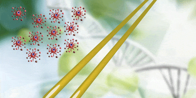 640_320gif 动态图 动图