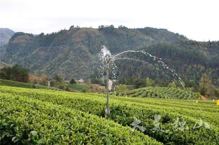 灌溉茶园除了百泉湖村的引水灌溉工程,细数独山县水务局脱贫攻坚水利