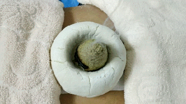 600_337gif 动态图 动图