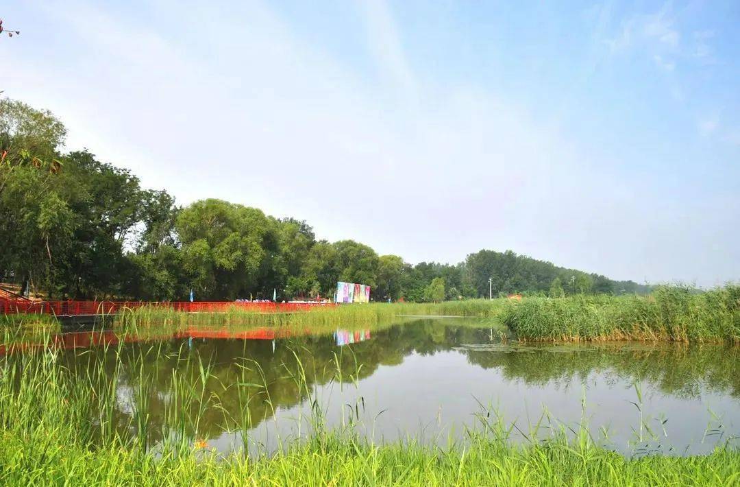 长垣新增打卡网红地——九龙湿地公园