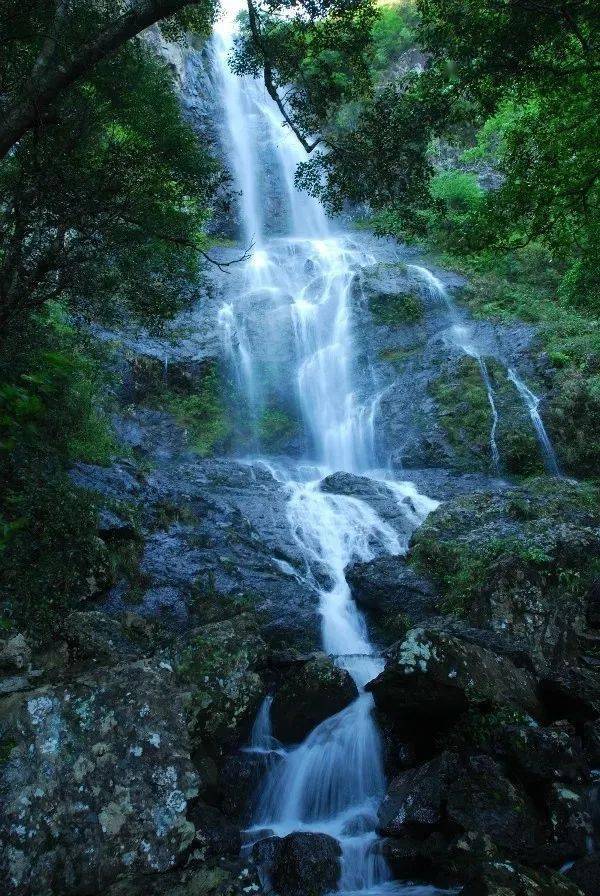 安遠三百山加入贛州旅遊年卡啦一起去爬山嗎免費的那種