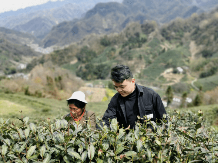 平利县八仙镇处处劲吹产业风