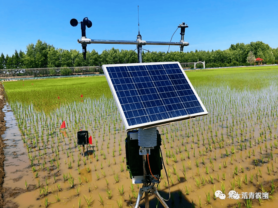 藏粮于技前哨农场有限公司智慧农业扎根田间加速科技强场进程