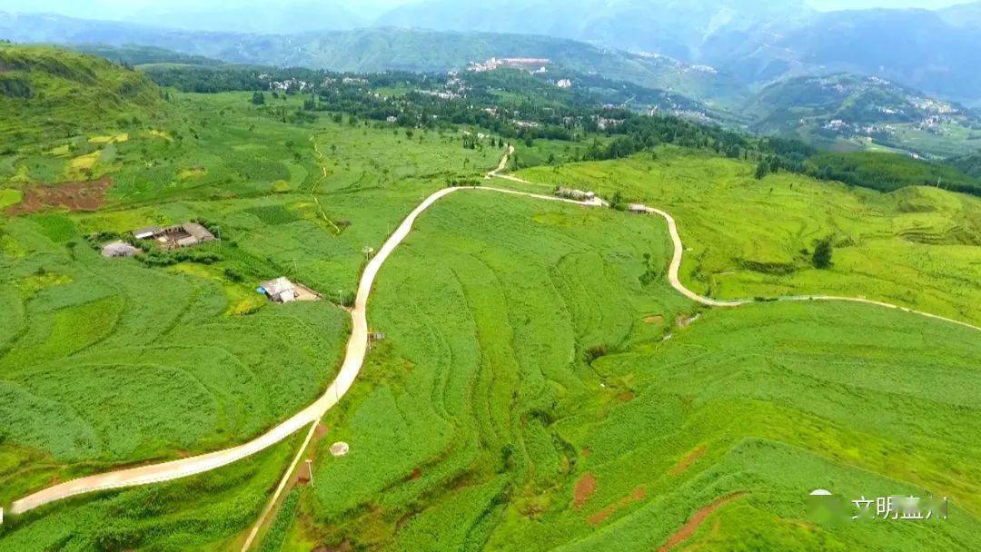 【文明盘州】乌蒙镇又麺又糯乌洋芋来啰.