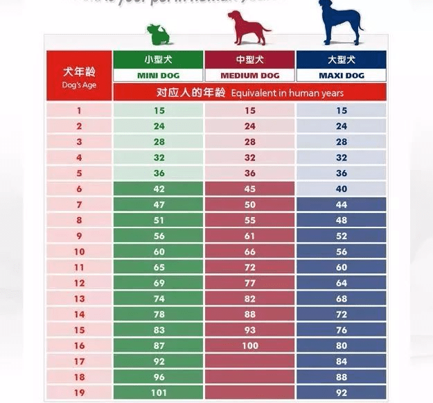 中亚犬生长日期体重表图片