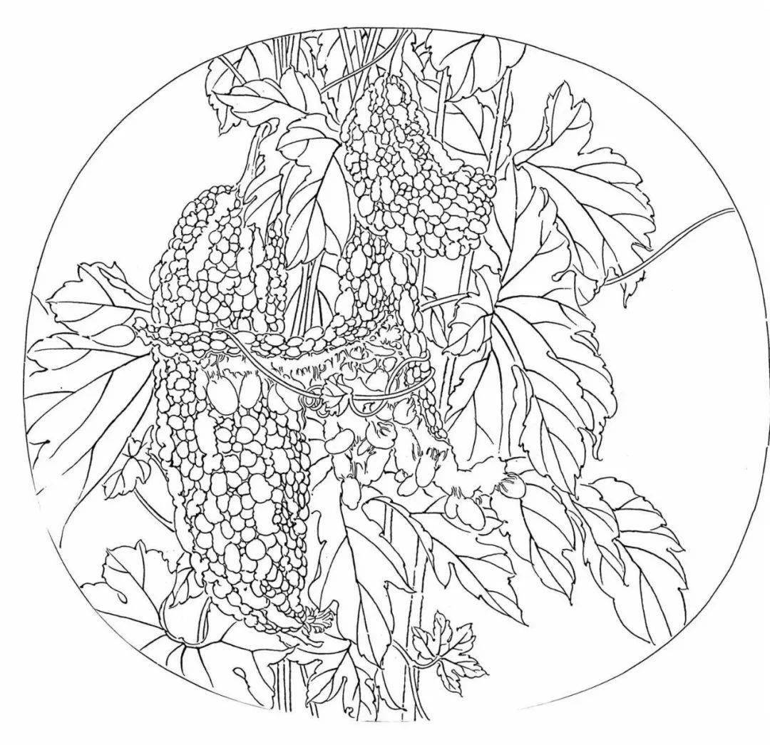 龚雪青工笔小品《苦尽甘来》图文解析_苦瓜