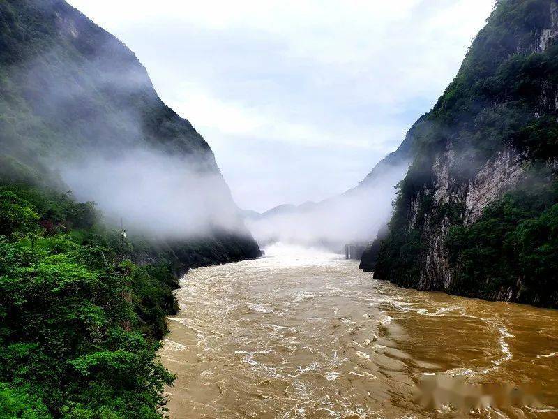 南岸支流,主要分布在云南,四川,贵州,重庆和湖北 以横江,綦江,乌江