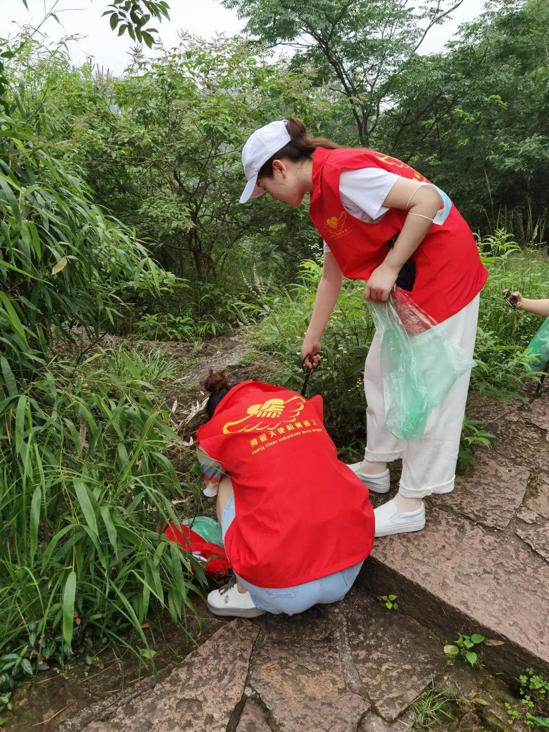 弯腰买菜风光图片