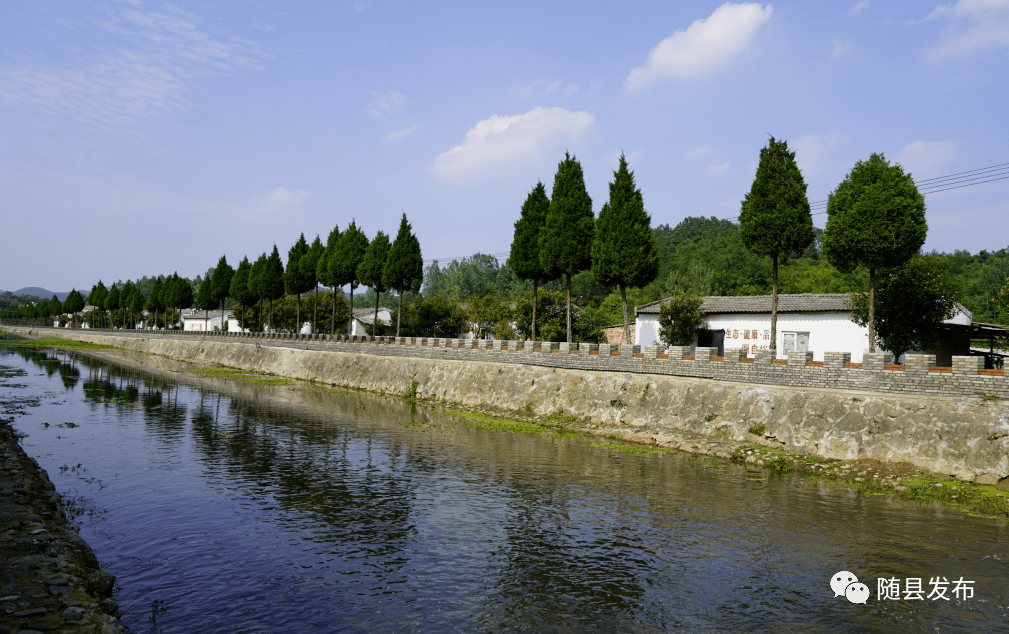 用心呵护生命之源三里岗镇河湖长制工作掠影