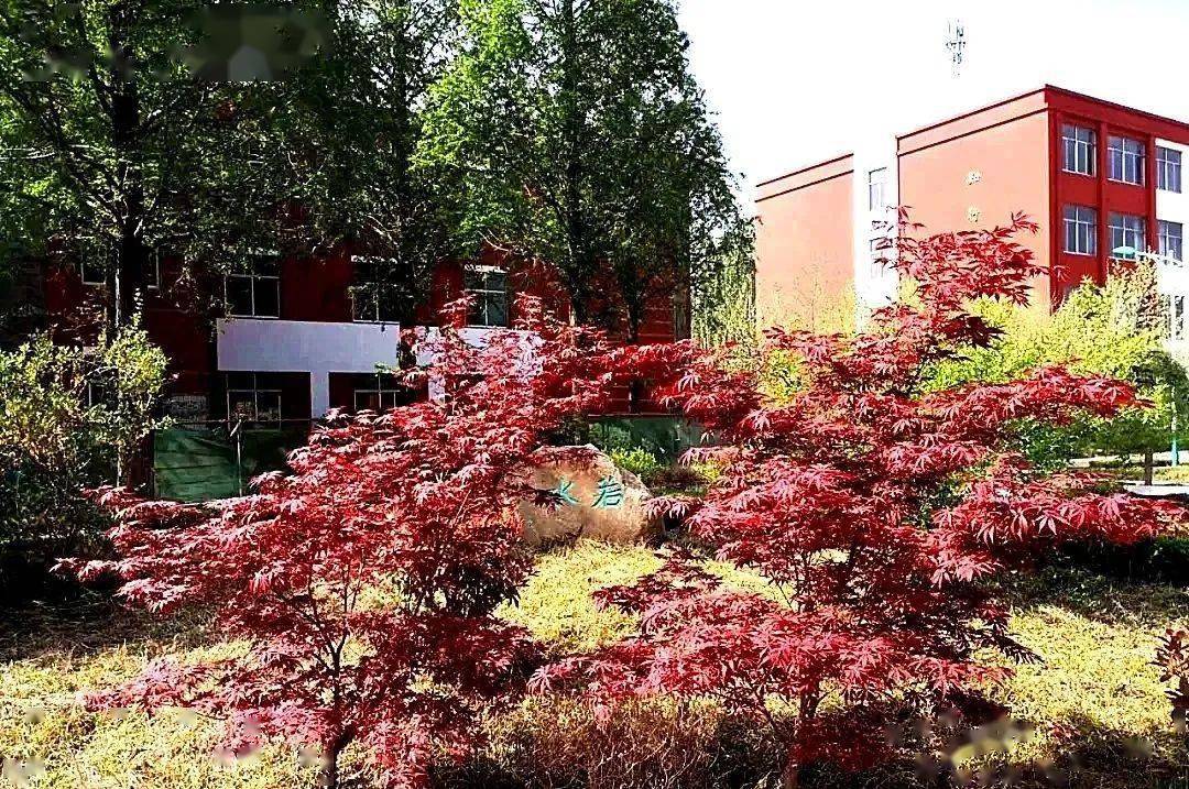 相约青山 || 2020年日照青山学校招生简章