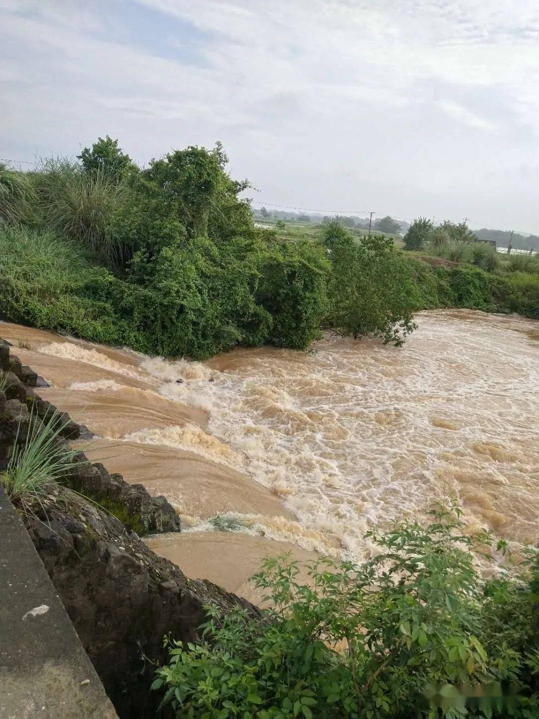 实拍暴雨后的黄金埠信江河开启新一轮涨水模式