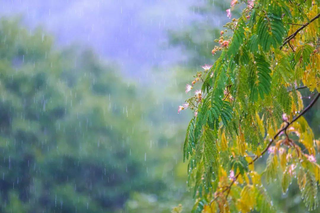 夏雨初晴美景的图片图片