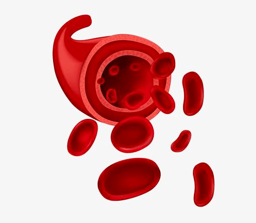 头晕耳鸣或是血管在作怪