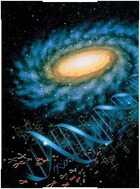 创意养生量子力学告诉你怎样远离疾病