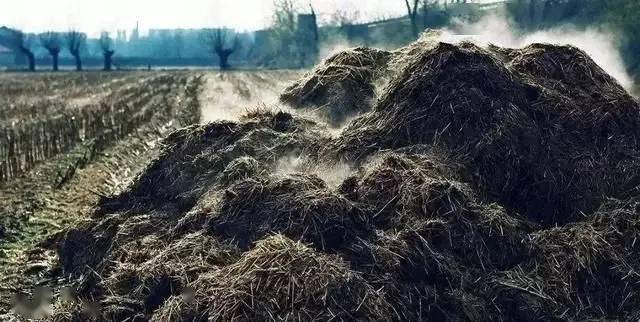 绿色革命：好氧发酵在现代农业中的应用
