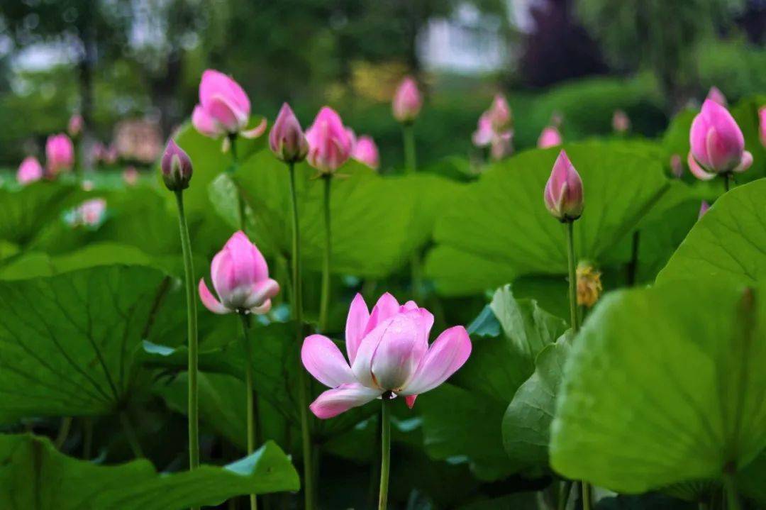 小暑在南信一起擁抱夏天