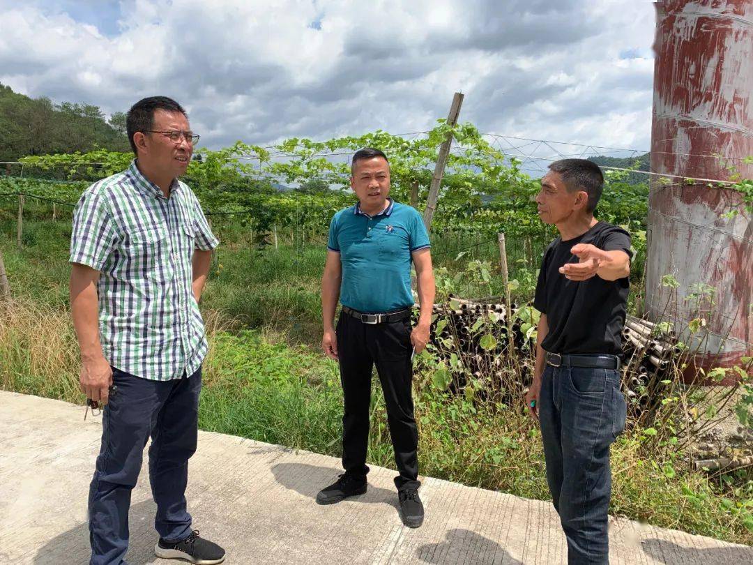 今日石屯共建富美西津石屯镇党委书记曹斌深入西津村调研指导农业产业