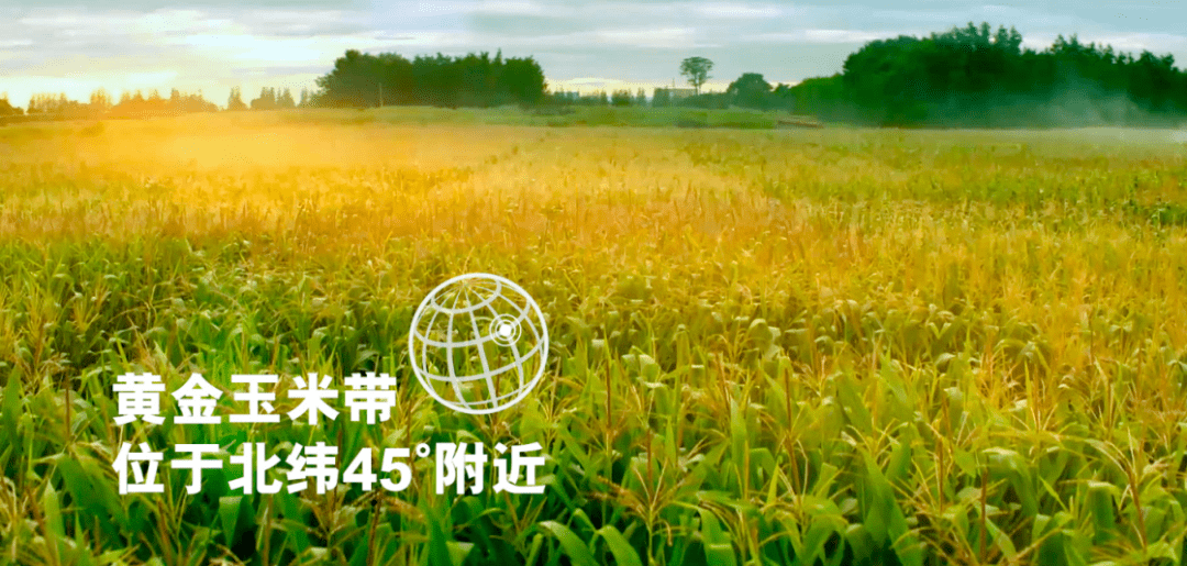 中国吉林玉米带与同纬度的美国玉米带,乌克兰玉米带并成为世界三大