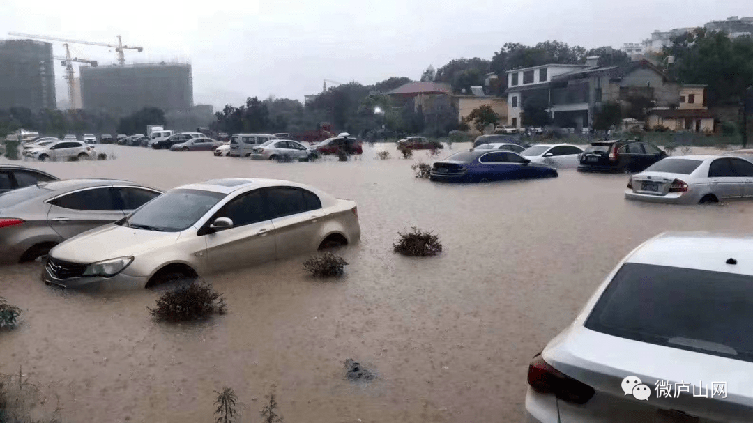 7月8日庐山市受暴雨影响情况