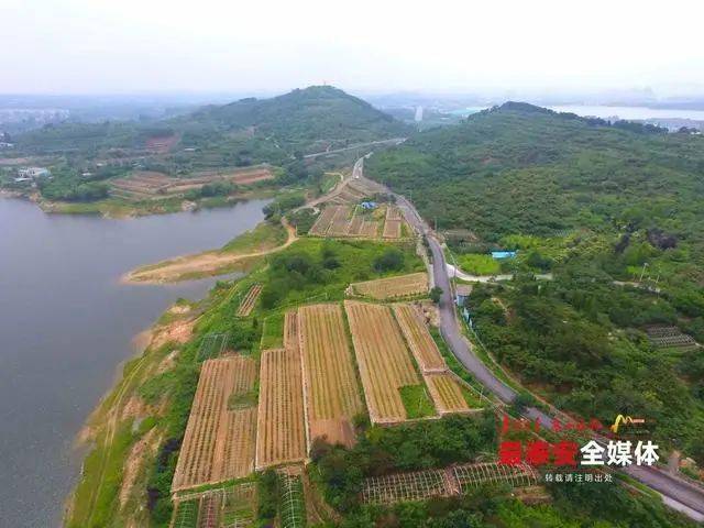 上项目,拓道路,促旅游……近年来,省庄镇以"建设东部新城"为中心,以"