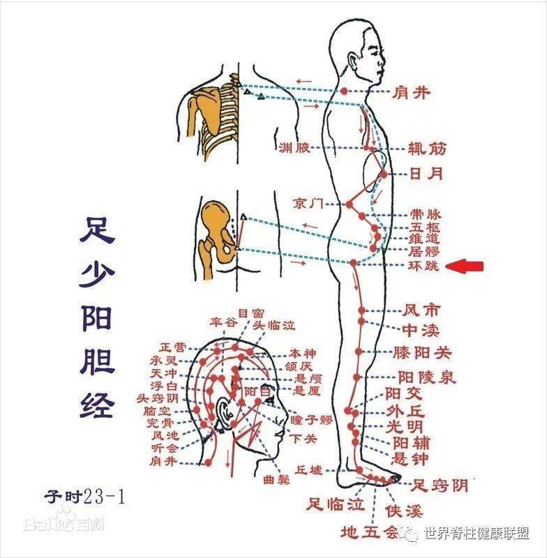 上可治到腰下可治到腳進來看看這個神奇的穴位