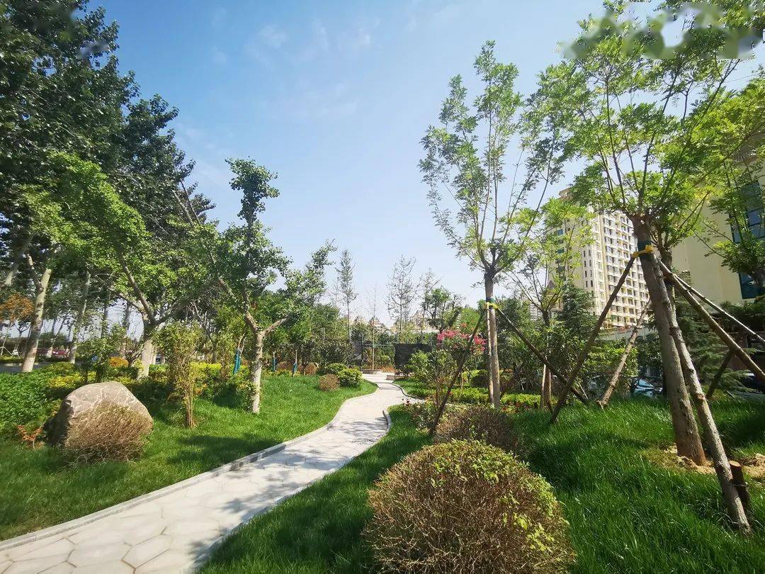 花园城市商河的高颜值社区公园快看在你家附近吗