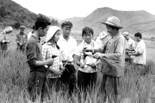 这张珍藏的历史照片,是祝亚男为了纪念上海知青上山下乡50周年,参加有